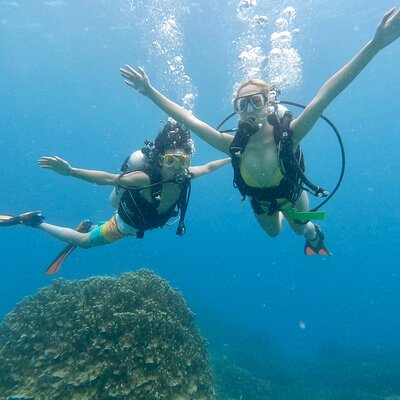 StandUp PaddleBoard Lesson and Experience Scuba Diving Package!