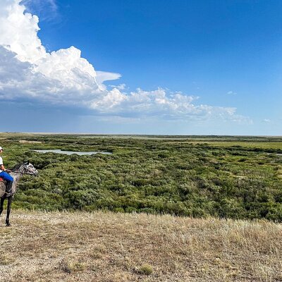 Taiburyldyn Shabysy: Horse Tours and Adventures