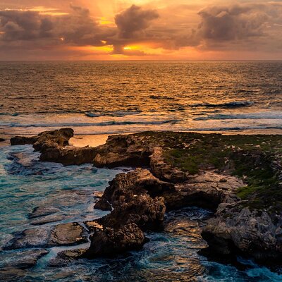 Rottnest Island Seals Sunset and West End Bus Tour
