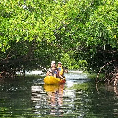 Kayaking Mangrove Adventure at Havelock