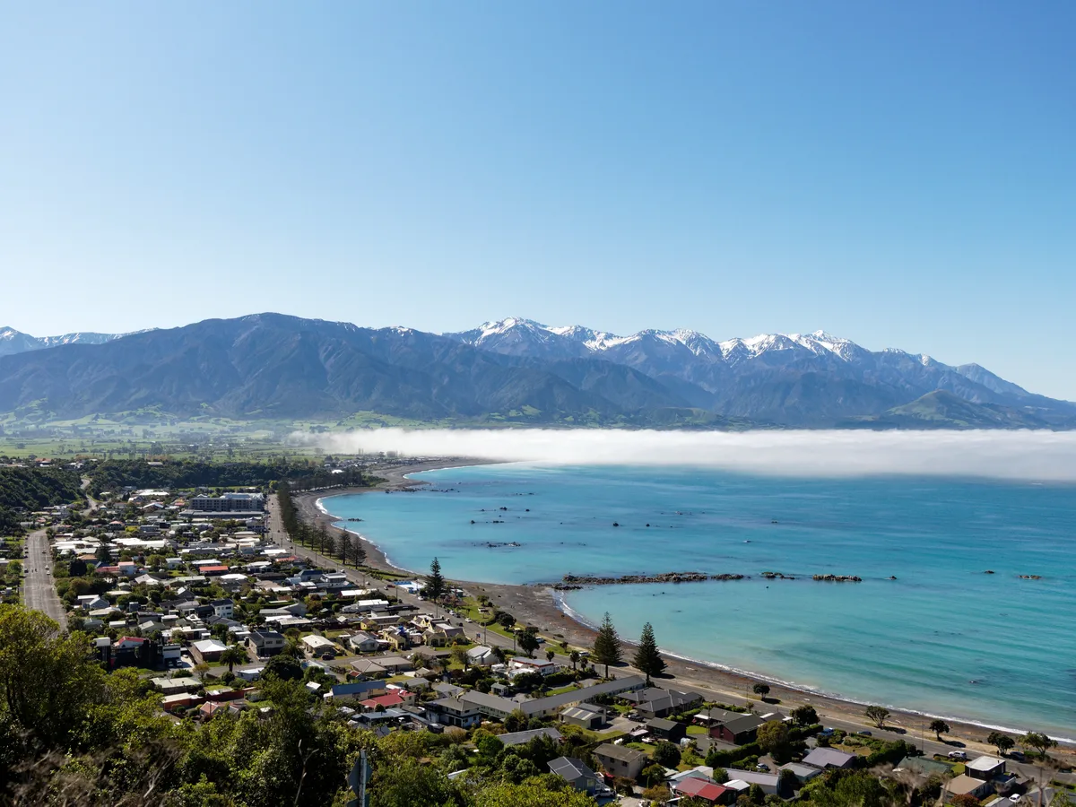 Wildlife Sea Kayaking Tour in Kaikoura