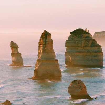 Bunyip Tours