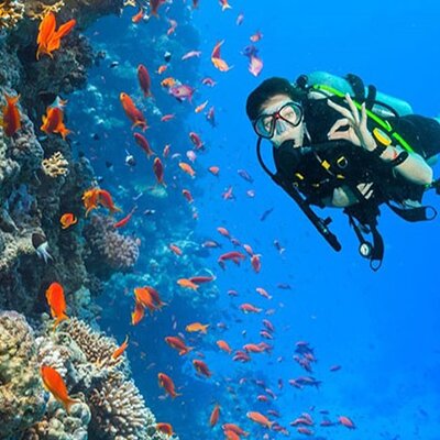 Discover Scuba Diving In Dahab