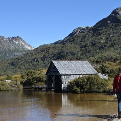 Transfer from Launceston to Cradle Mountain