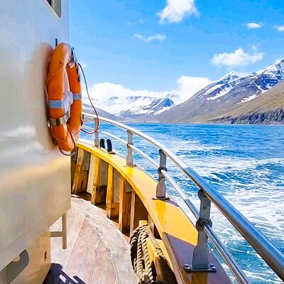 Boat Tours from Siglufjörður