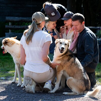 Husky cuddle at Fjälläventyr Dog Park - admission ticket