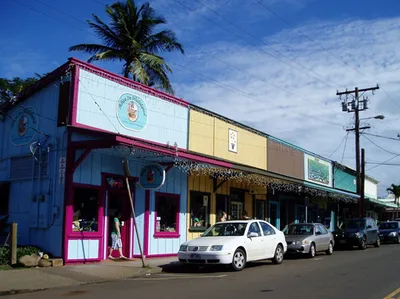 Maui VIP Private Road to Hana Tour with Pick Up