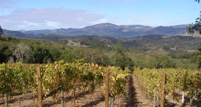 Sonoma Horseback-Riding Tour in Santa Rosa with Lake Sonoma and Dry Creek Valley