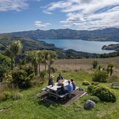 Akaroa Nature and History Private Tour - The 7th Generation