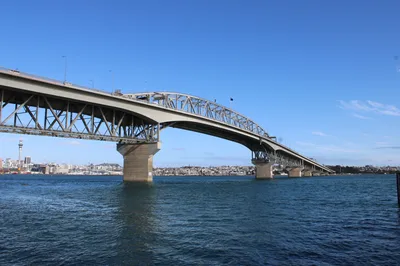 Auckland City Top Spots Half-Day Small Group Tour