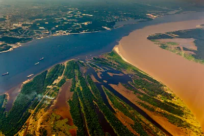 Manaus 8-Hour Indian Village and Meeting of the Waters Tour with Dolphin Observation