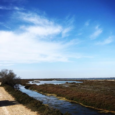 Safari 4x4 Camargue 2 hours - Saintes Maries de la Mer - Private Tour
