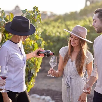 Europa Village Wine Tour, Food Pairing & Wine Blending Experience