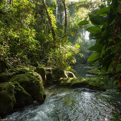 Tukan Shuttles & Adventures