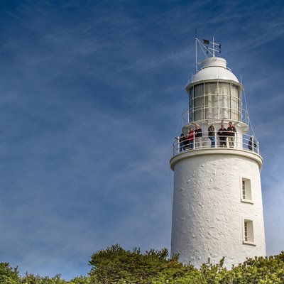 Cape Bruny Lighthouse Tour - Bruny Island