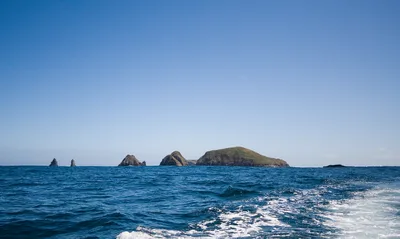 Cape Bruny Lighthouse Tour in Tasmania on Bruny Island