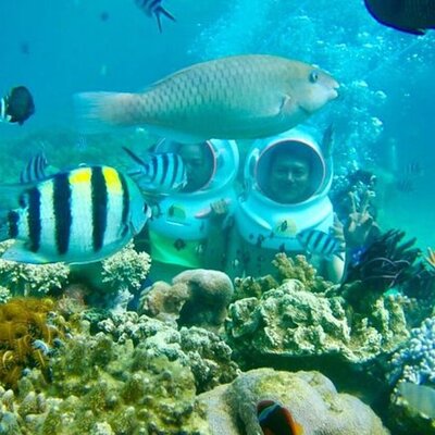 Bali Sea Walker