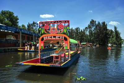Xochimilco 2-Hour Barco Fiesta Tentacion 18+ with Open Bar and Tacos