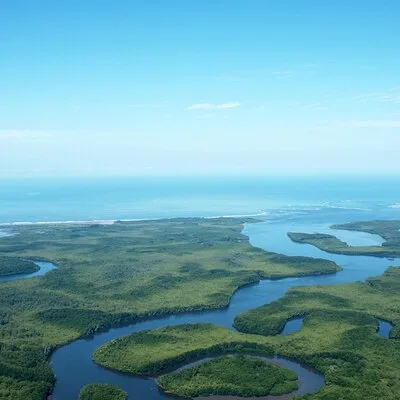 One Day Tour To Térraba-Sierpe Mangrove By Boat From Sierpe