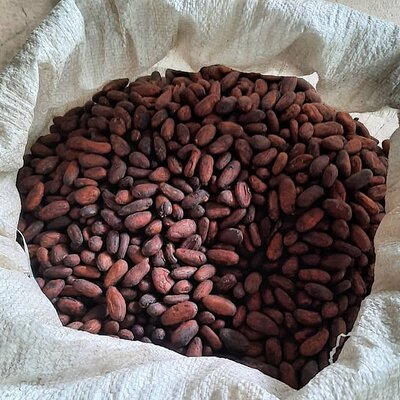 Don Olivo Chocolate Tour