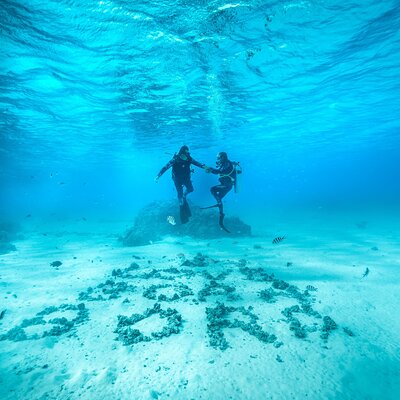 Bora Ocean Adventures