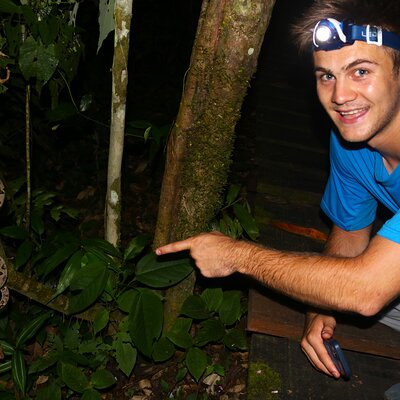 Night walk and search for tarantula sloths