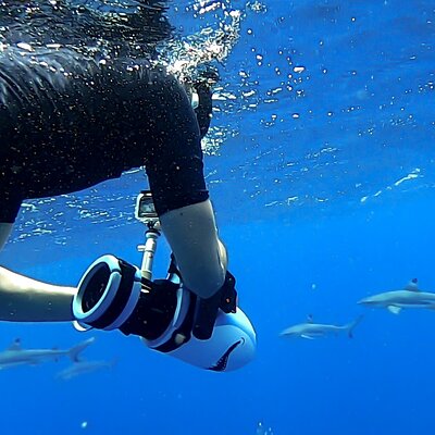 'ATAE : Safari Océan ~ Tahiti
