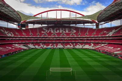 Lisbon SL Benfica Stadium and Museum Tour with Official Scarf