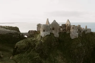 From Belfast-Giants Causeway, Dunluce Castle and Dark Hedges 6.5-Hour Tour
