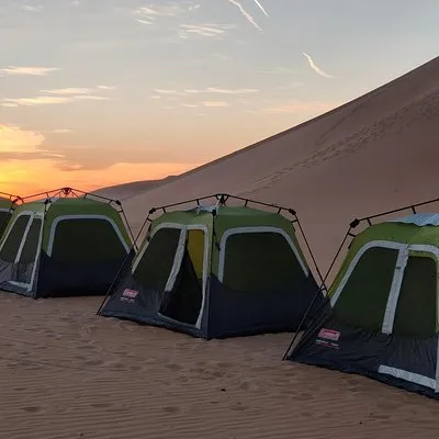 Liwa Adventure Tours Safari
