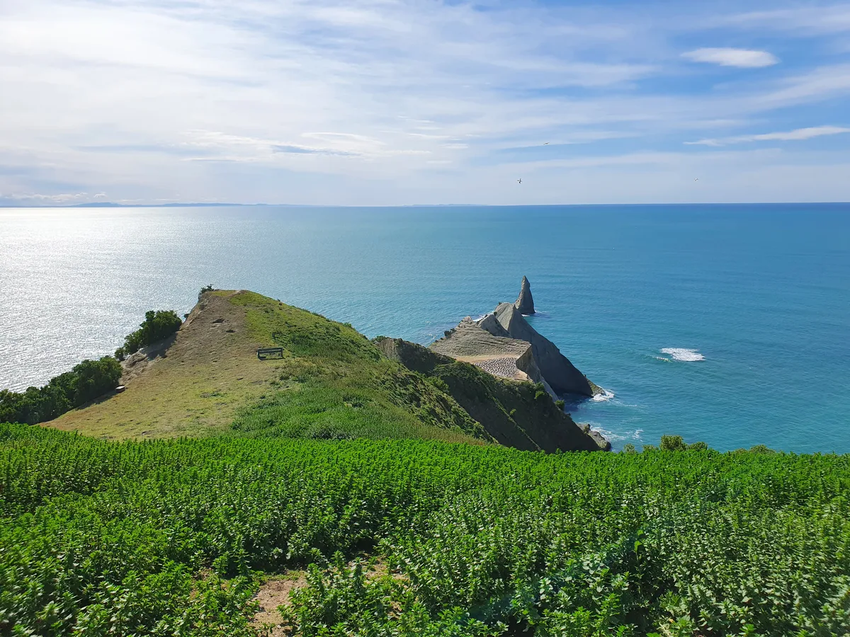 Cape Kidnappers Gannet Colony Overland Tour by Gannet Safaris