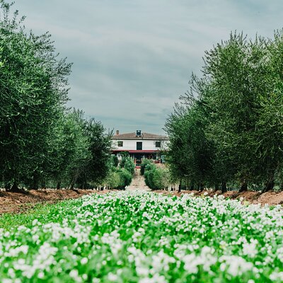 Oil tourism with the 5 senses