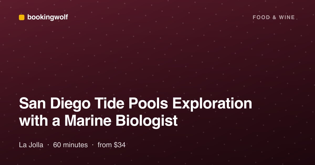 San Diego Tide Pools Exploration with a Marine Biologist