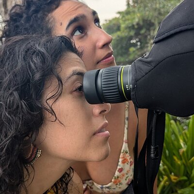 Puerto Viejo's walking tour: Sloth spoting guaranteed
