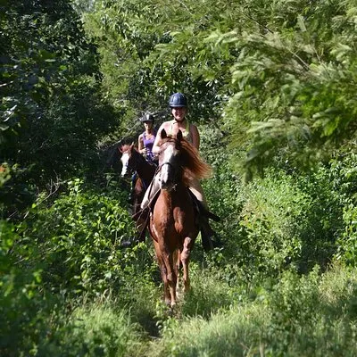 Award-winning Private Classic Horseback Ride