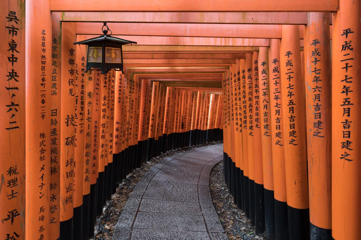Kyoto Fushimi Inari Night Walking Tour