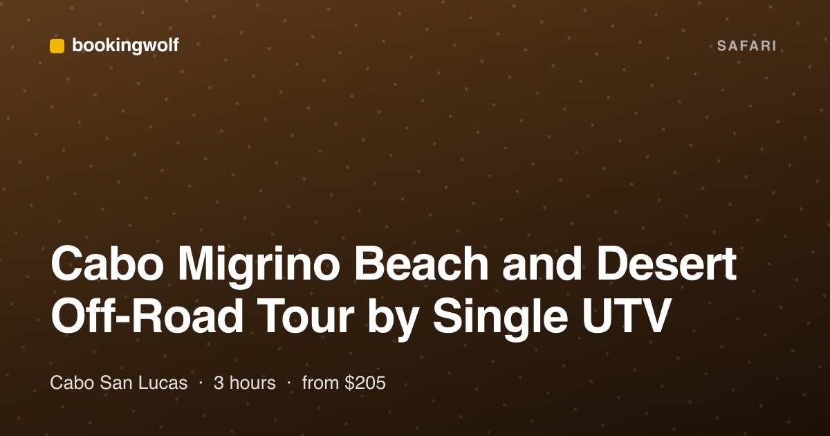 Cabo Migrino Beach and Desert Off-Road Tour by Single UTV