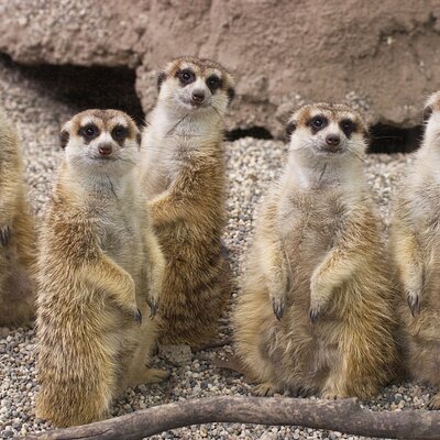 Sacramento Zoo