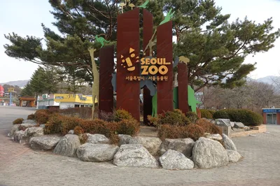Seoul Day Trip to The Garden of Morning Calm, Nami Island, and Gangchon Rail bike with Transportation
