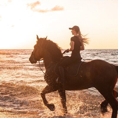 Gili Trawangan Beach Horseback Riding with Pickup Hotel