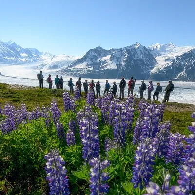 Alaska Helicopter Tours