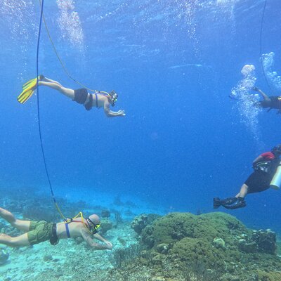 SNUBA Adventure in Curacao - Guided Shallow Dive