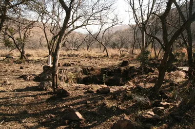 Maropeng Cradle of Humankind Museum and Sterkfontein Caves Day Trip