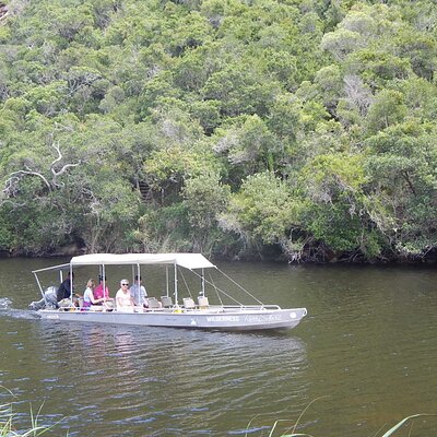 Touw River Boat Cruise - Wilderness National Park