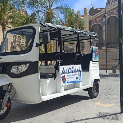 Private Tour with Tuktuk in Valencia