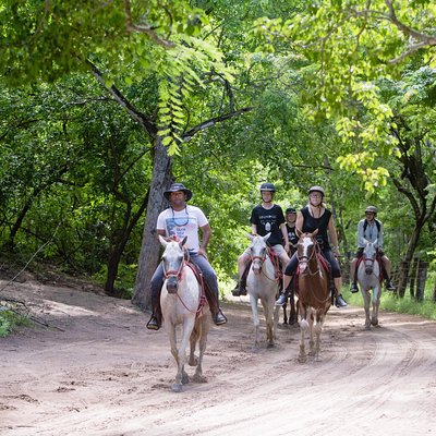 Horseback Riding tours in Brasilito