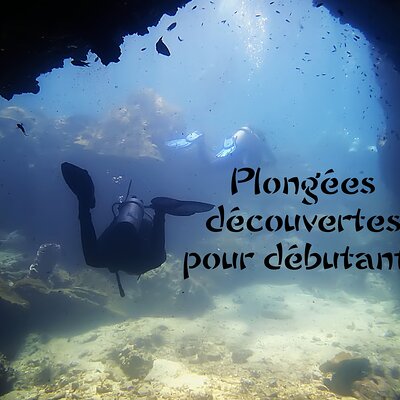 Private Scuba Diving Initiation with Licensed Guide