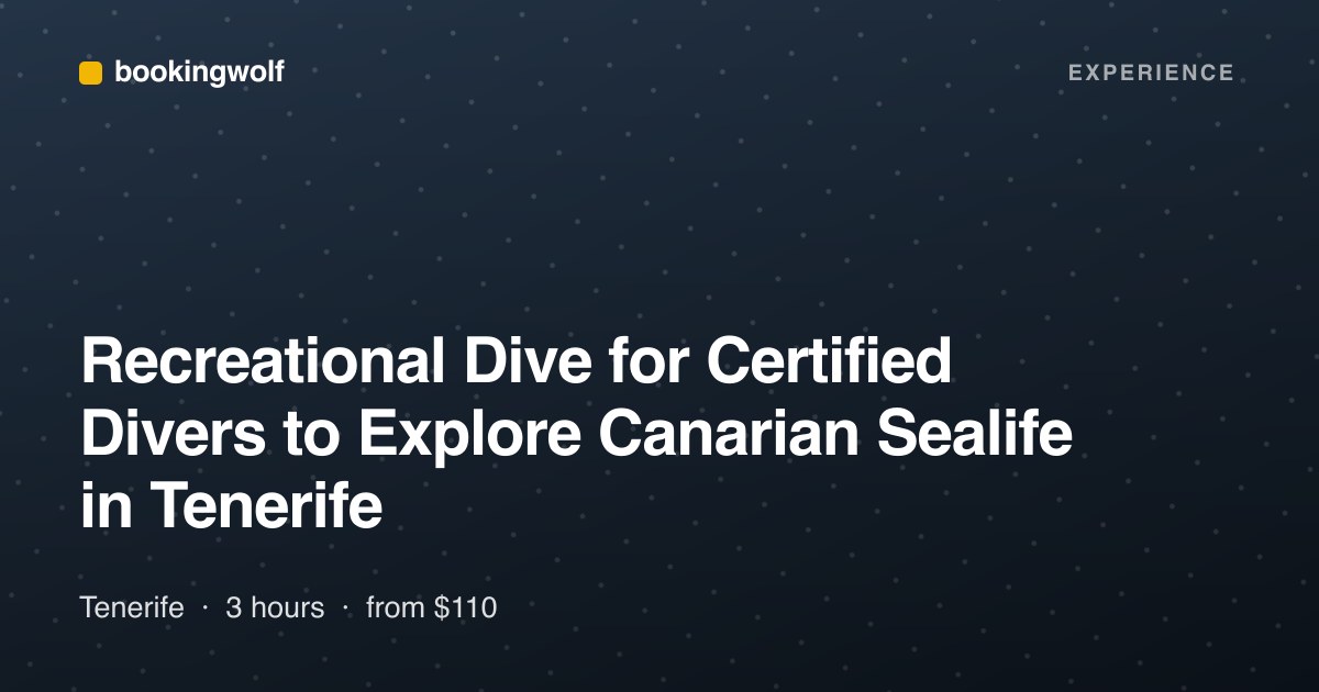 Recreational Dive for Certified Divers to Explore Canarian Sealife in Tenerife
