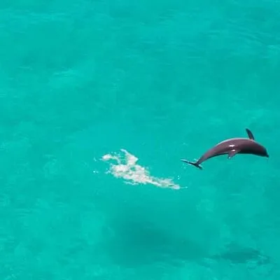 Faitham Zanzibar Tours And Safari