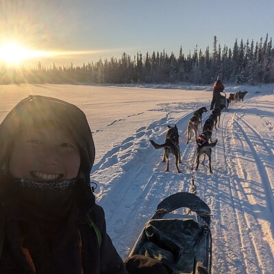 Alaskan Husky Dog Sledding at Yellowknife Enodah Kennel